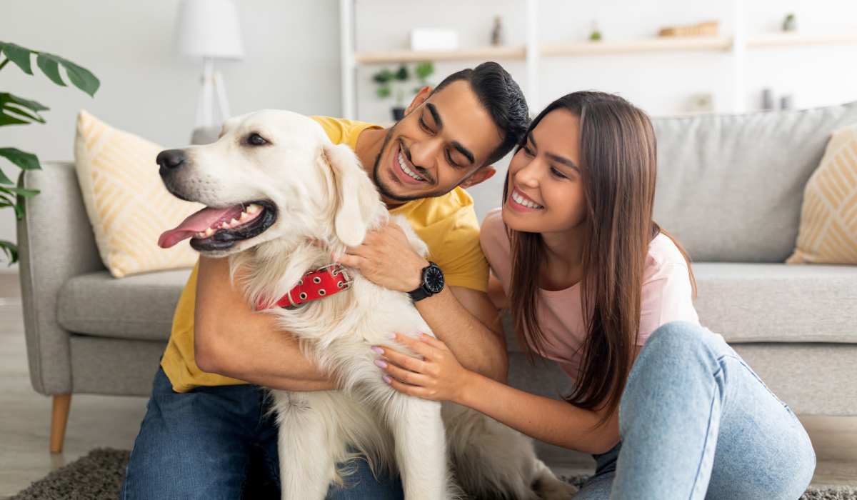 Resident playing with their dog at Mily on Green in Philadelphia, Pennsylvania