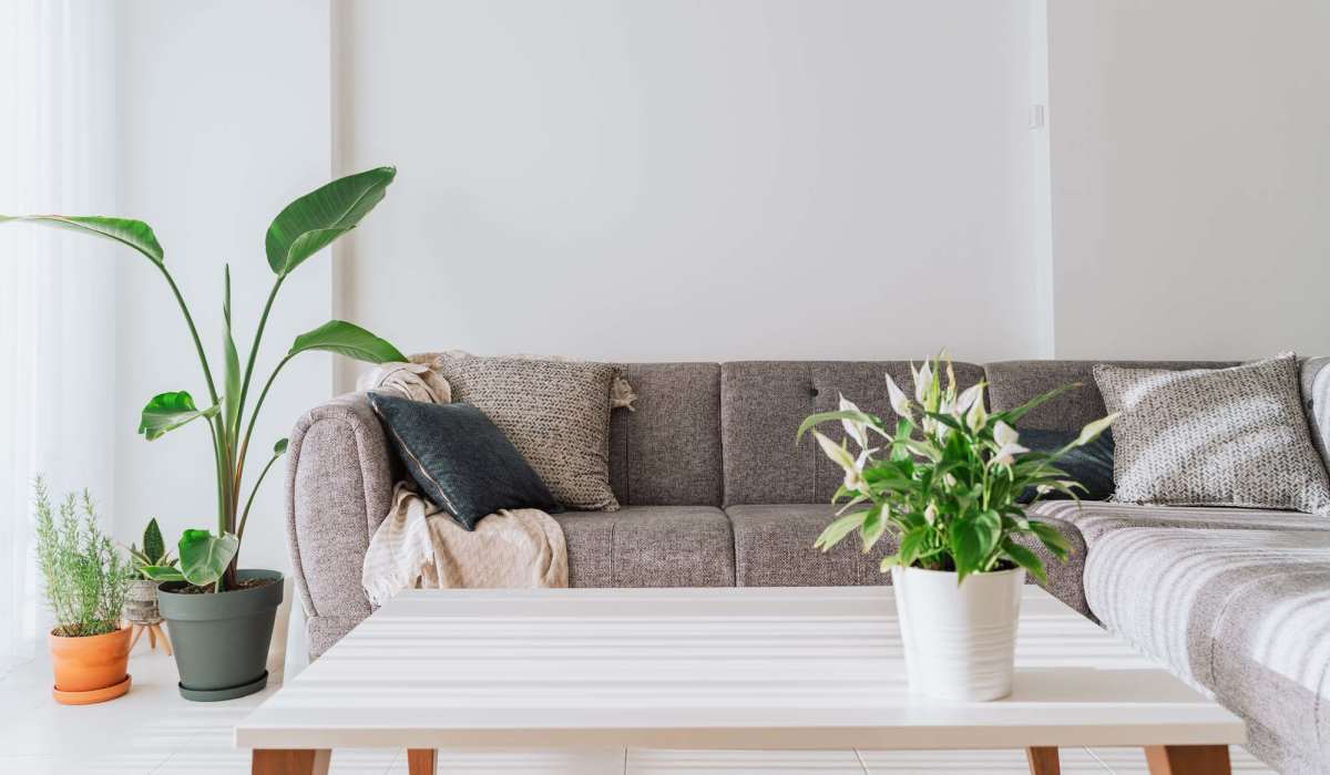 Bright living room at Chambersburg Senior Housing in Chambersburg, Pennsylvania