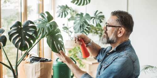 Man watering his houseplants at La Espana Garden in Lodi, California