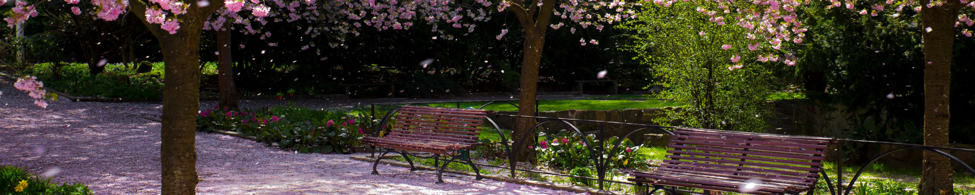 Privacy policy for The Firs in Olympia, Washington