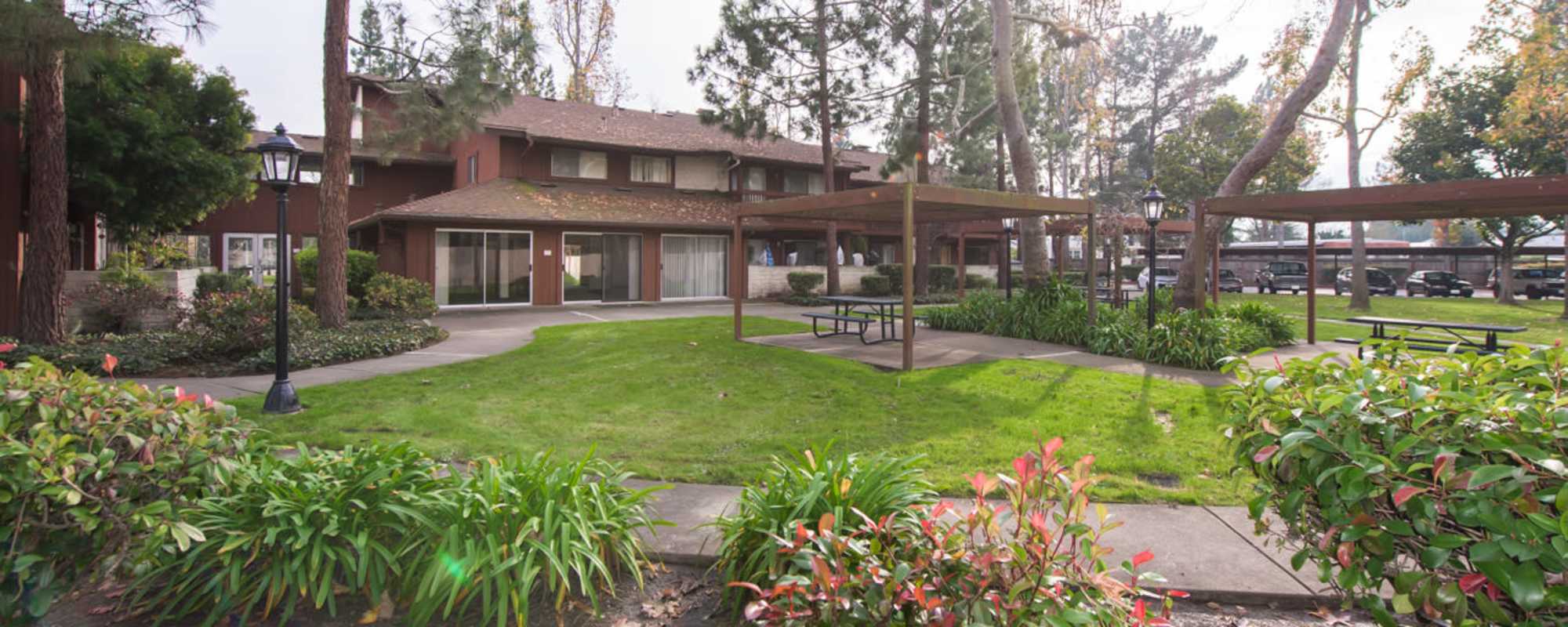 Apartments at Country Club Village in Rohnert Park, California