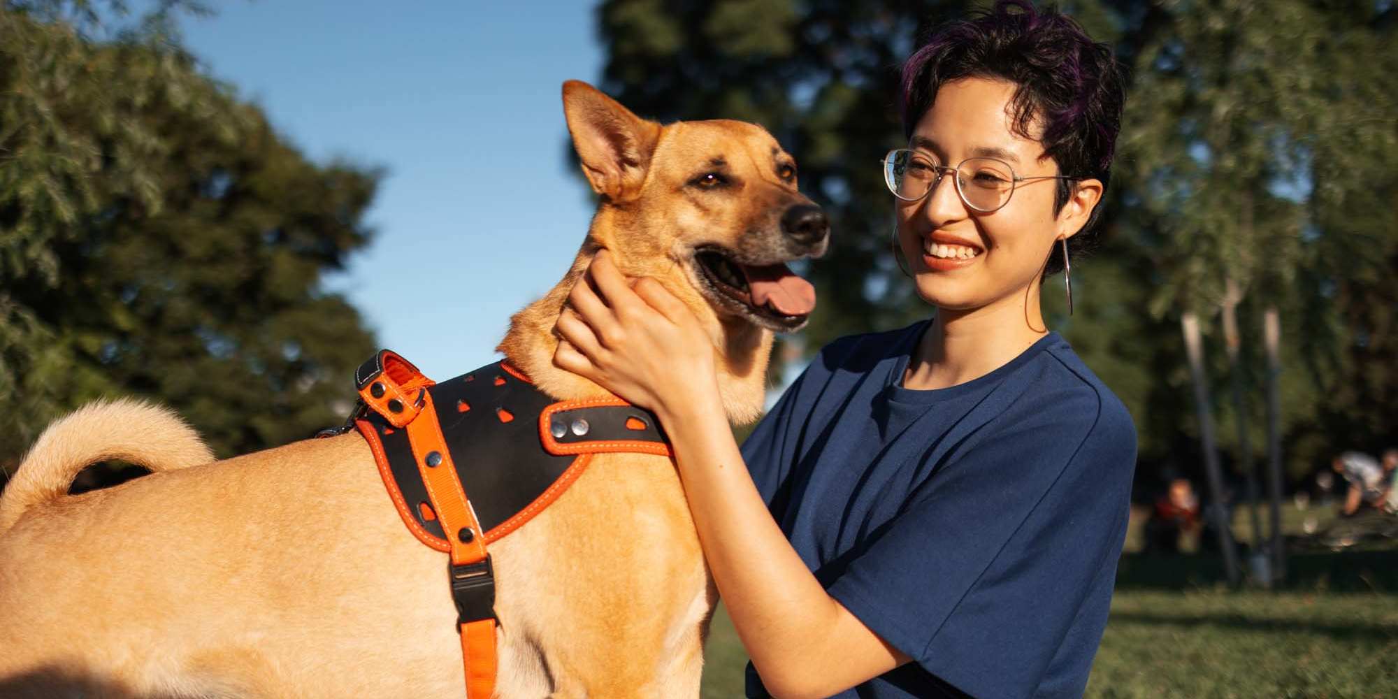 A resident taking their dog on a walk in Cameron Park, California