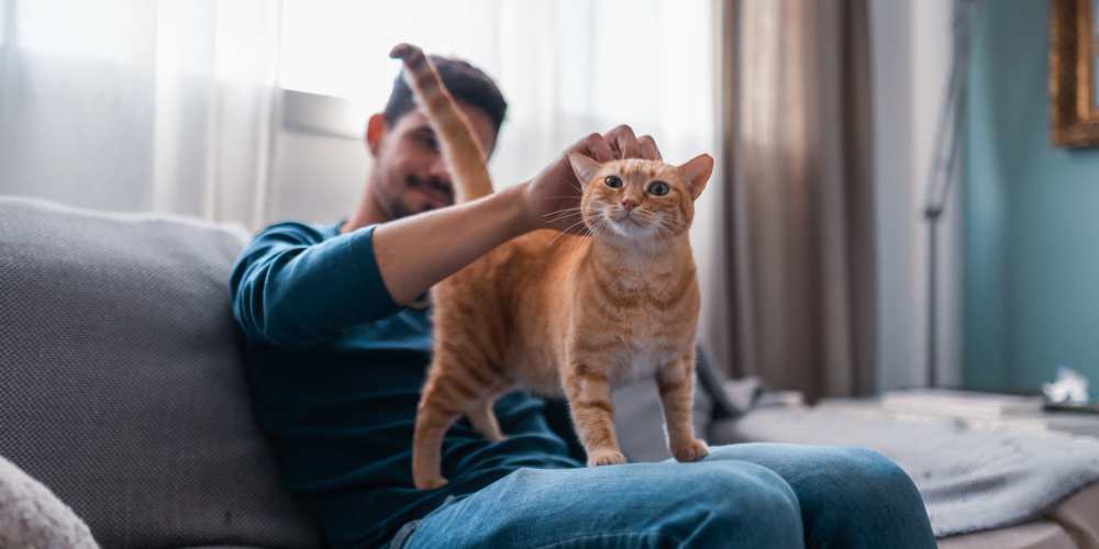 Resident pampering his cat at Vivo Living Summerville in Summerville, South Carolina