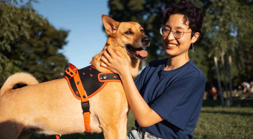 Happy dog with its owner at Fairvalley Villa in Covina, California