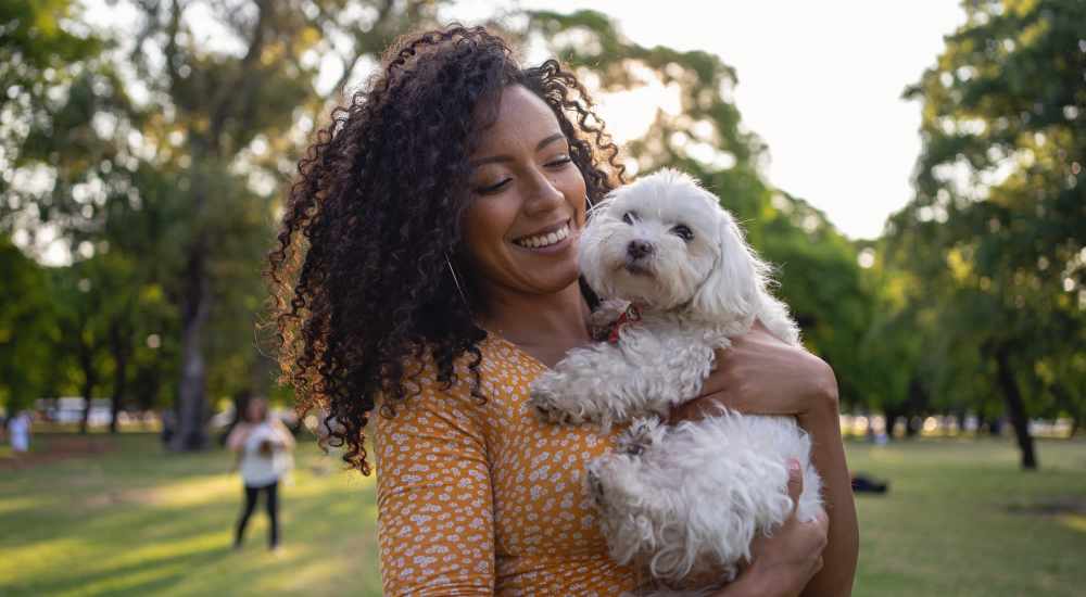 Pet-friendly at Glades at Gulf View in Port Richey, Florida