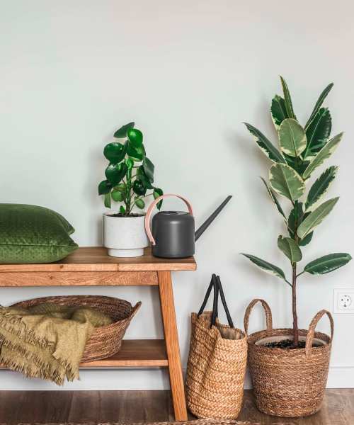 Entryway with plants at Brentwood Apartments in Portland, Oregon