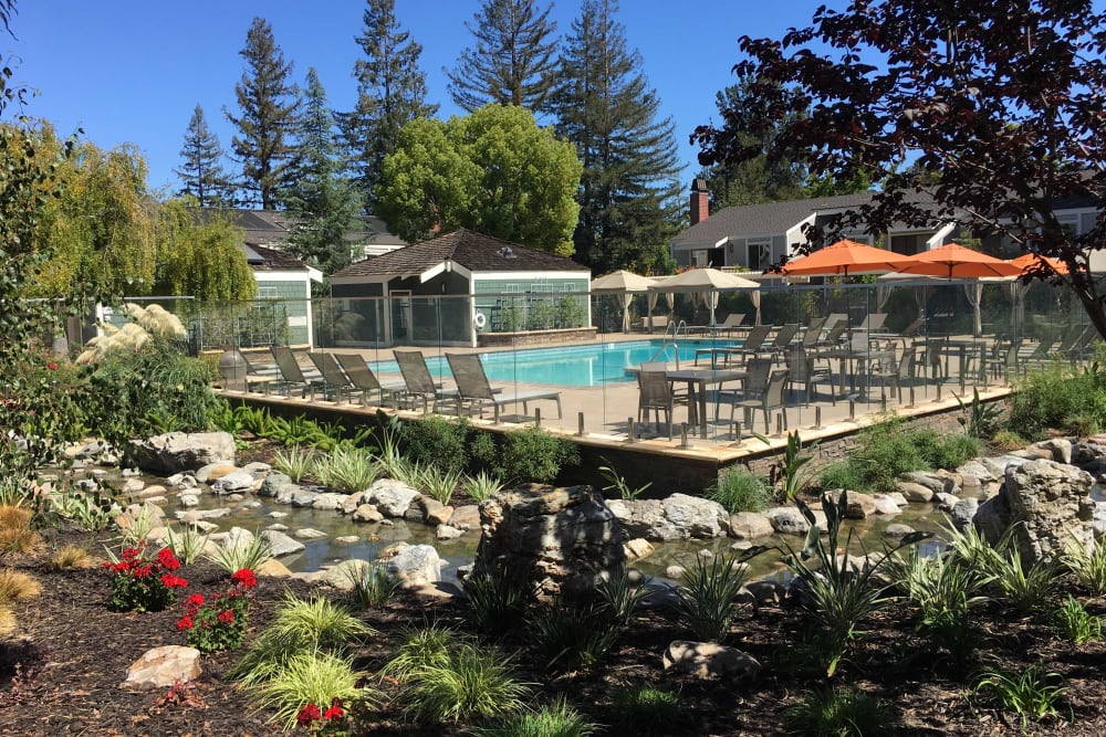 Pool surrounded by greenery at Glenbrook Apartments in Cupertino, California