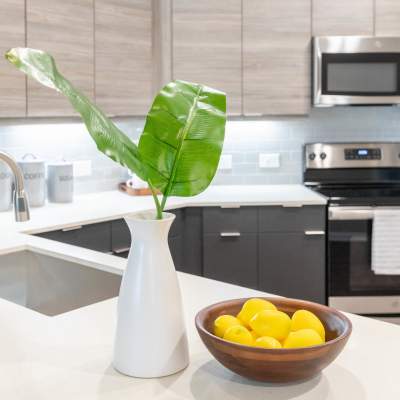 Kitchen decor and fruit bowl at The Jade at Avondale in Decatur, Georgia
