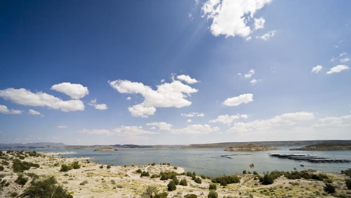 View of a lake in a desert with an expansive blue sky above and a dry landscape with shrubs in the foreground