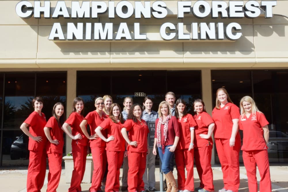 Our great team at Champions Forest Animal Clinic in Houston, Texas