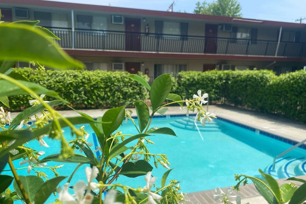 Pool view at Corabel Lane Apartments in Sacramento, California