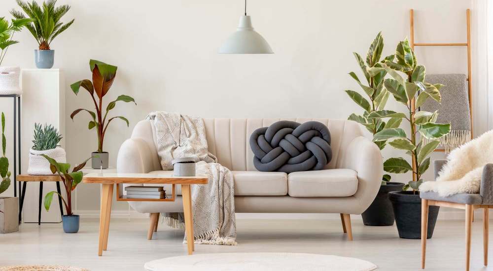 Well decorated living space at 570 Washington in New York, New York