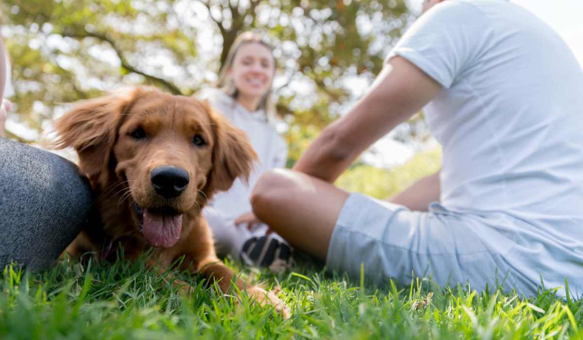 Residents with dog in a park near Terrazzo in Durham, North Carolina
