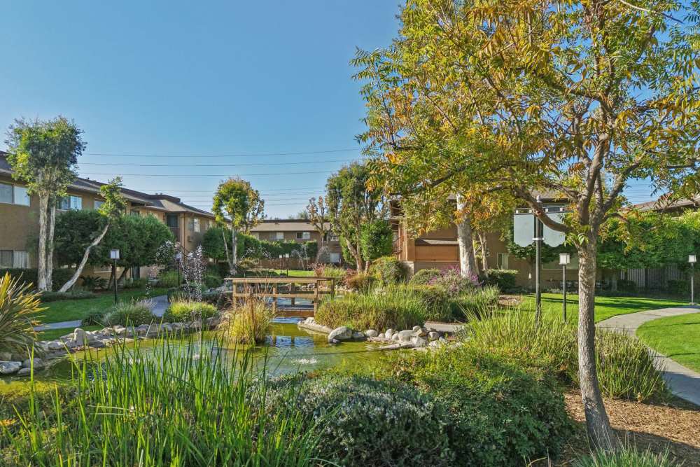 Pond at Casa Sierra in Riverside, California