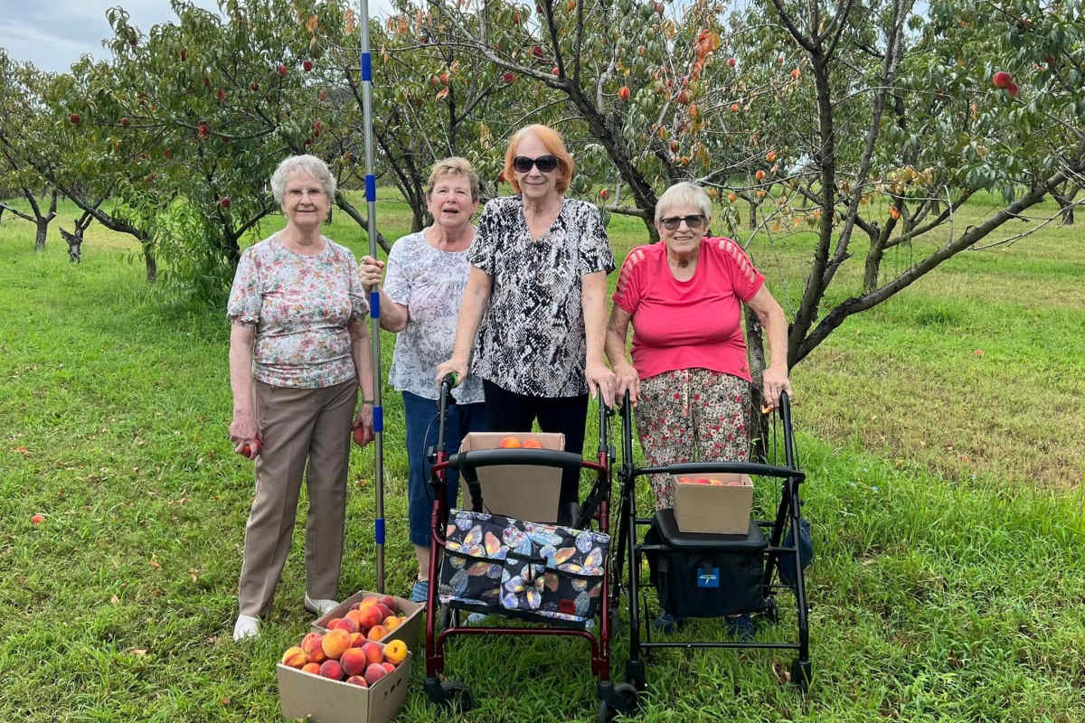 Residents taking a picture by an apple orchard Town Village in Oklahoma City, Oklahoma