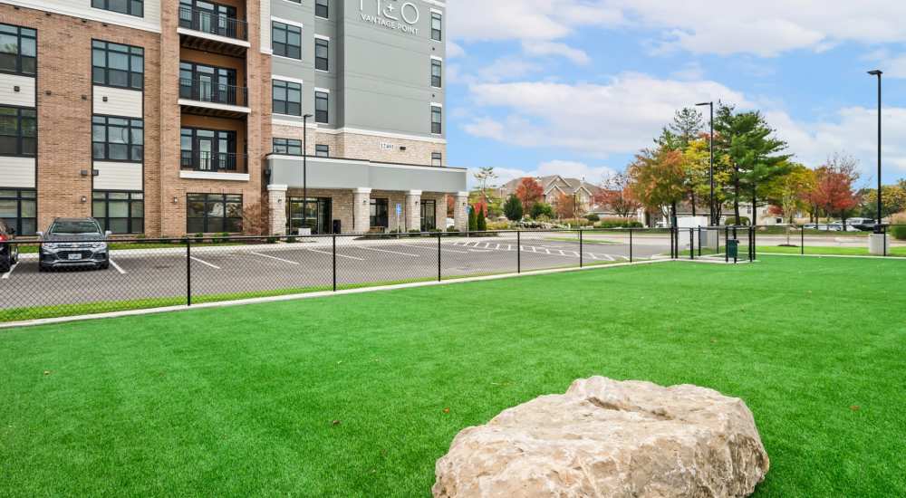 Bark park at Neo Vantage Point in Maryland Heights, Missouri 