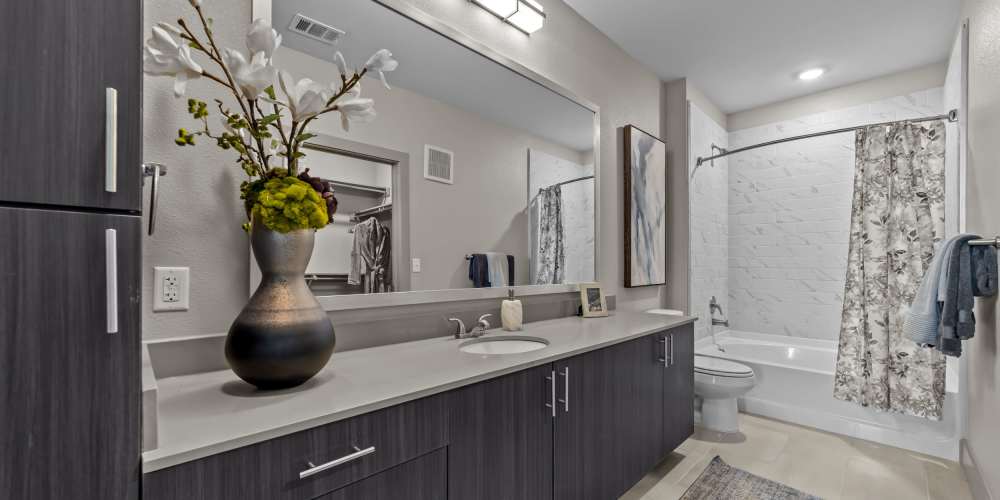 Modern finishes in a spacious bathroom  at Harbor Hill in Rockwall, Texas