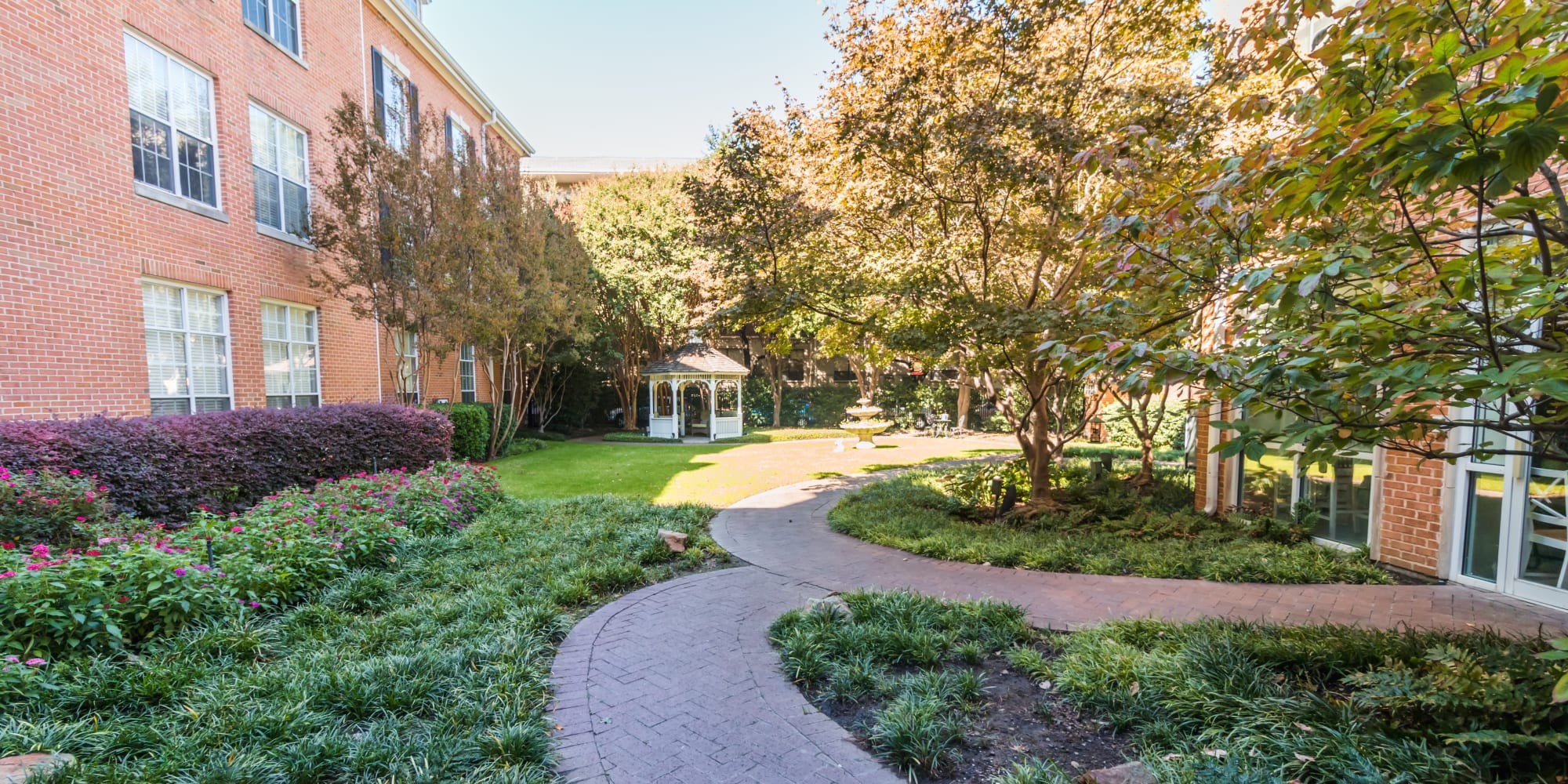 Dallas senior living has amazing care options