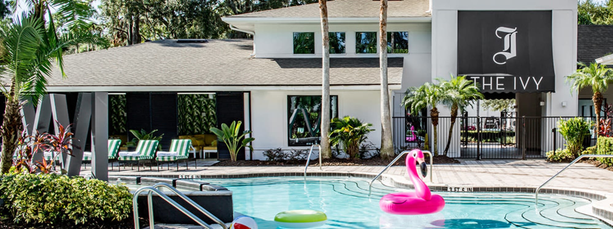 Apartments at The Ivy in Tampa, Florida