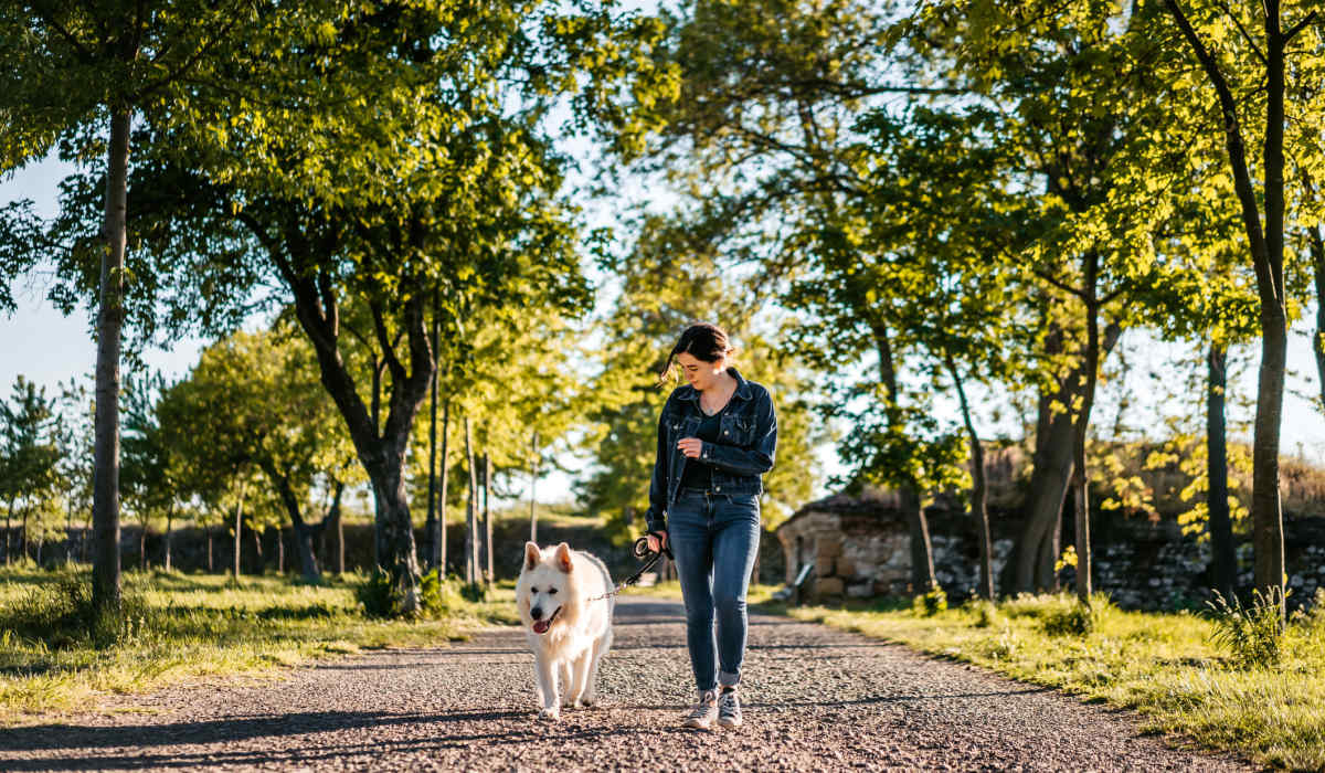 Happy dog on a walk outside at Villas Willow Glen in San Jose, California