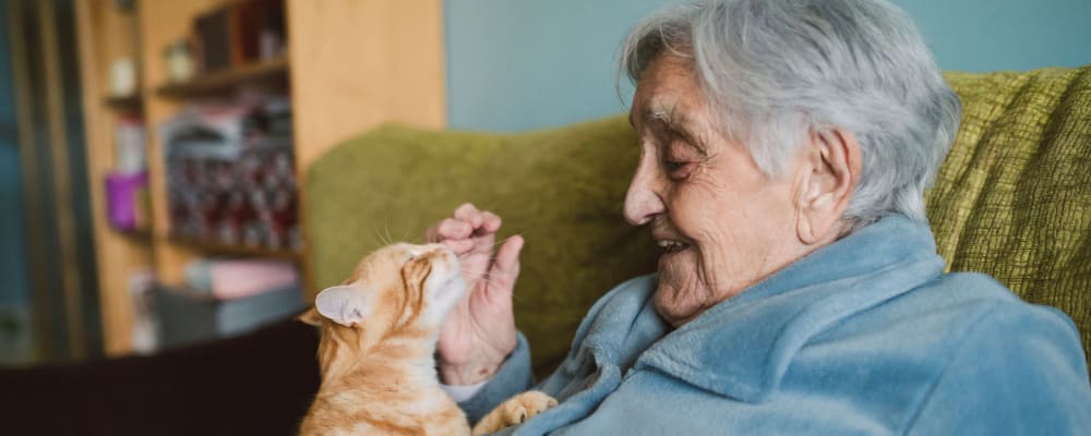 A resident petting a cat at Garden Square Assisted Living of Casper in Casper, Wyoming