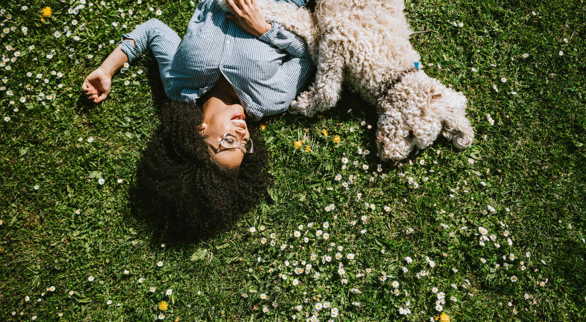 Pet Friendly | The Residences at Enso in Jacksonville, Florida