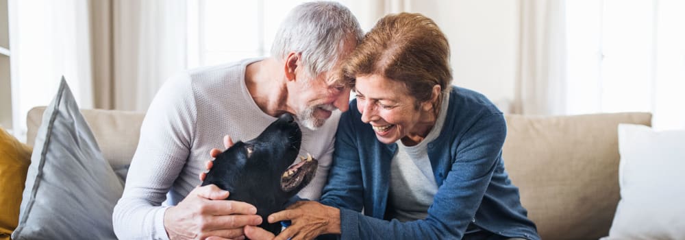 Two residents petting a dog at a Stoney Brook community. 