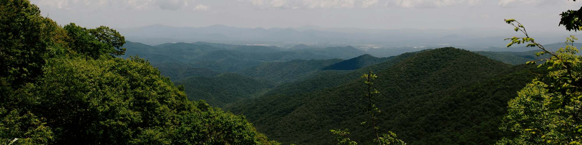 Neighborhood | Forester in Charlotte, North Carolina