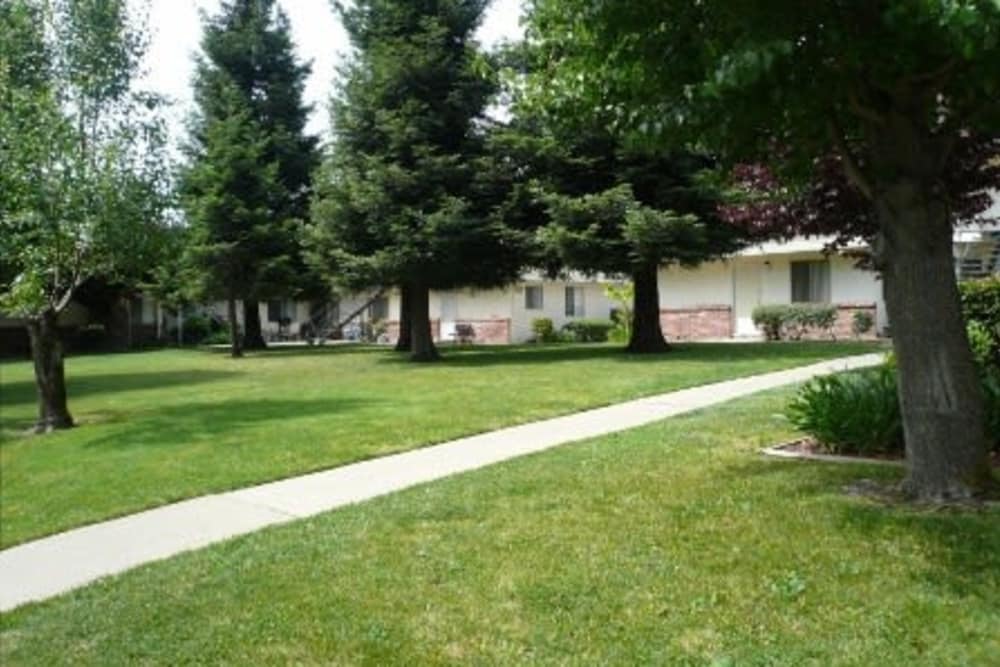 Greenery around Carmichael Cove Apartments in Carmichael, California