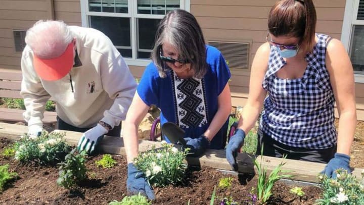 Willowbrook Place Memory Care in Littleton Colorado planting with residents 