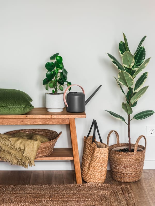 Plants and a small table