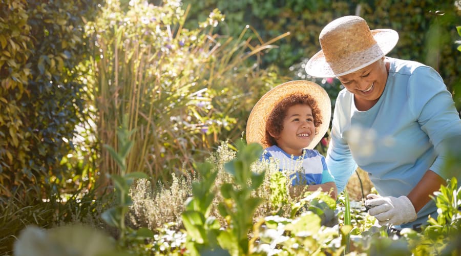 Resident working in the community garden with her grandson at Cascade Park Gardens Memory Care in Tacoma, Washington