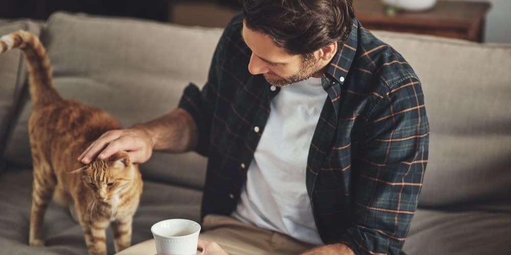 Resident petting his cat at Tides at North Nellis in Las Vegas, Nevada