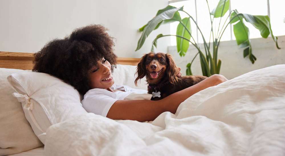 Dog relaxing with their owner on bed at Grapevine Station in Grapevine, Texas