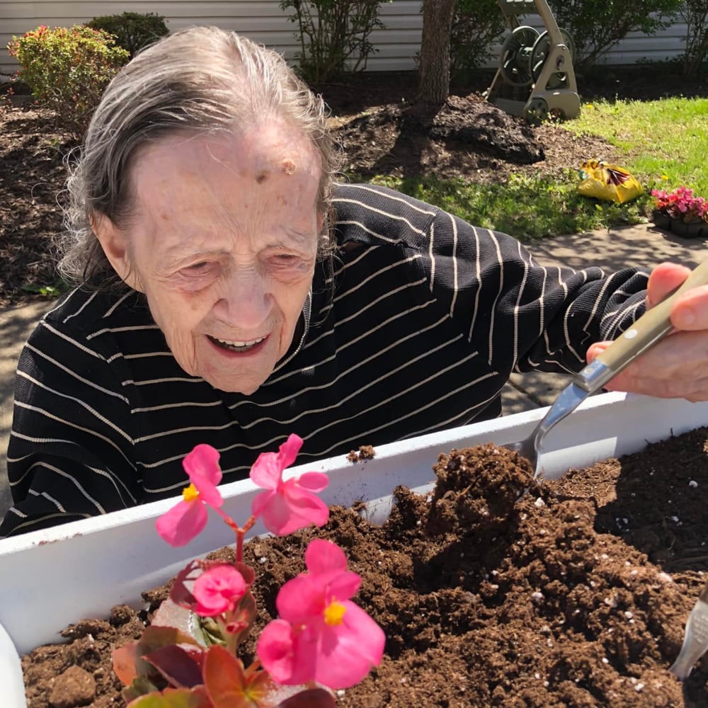 Resident planting flowers in a raised bed at Lavender Hills Front Royal Campus in Front Royal, Virginia
