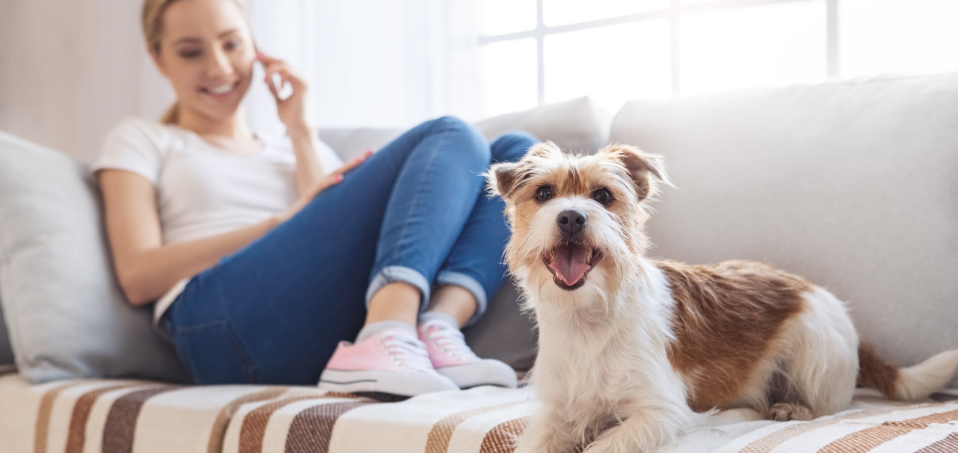 Woman and dog on couch at Callio Properties