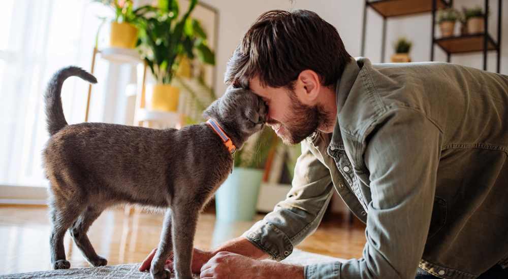 Resident playing with his cat in a living room at Retreat at Redstone in Crestview, Florida