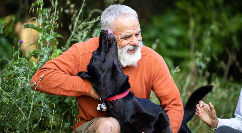 Resident playing with their pet at Roscoe Park in Canoga Park, California