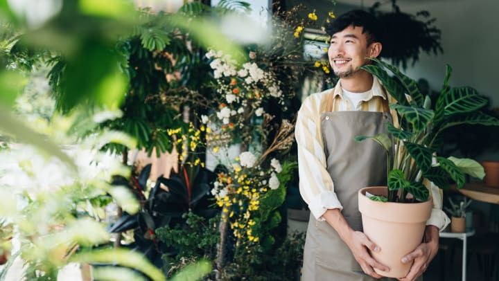 Young man wearing an apron, holding a potted plant and surrounded by green leaves and yellow flowers.