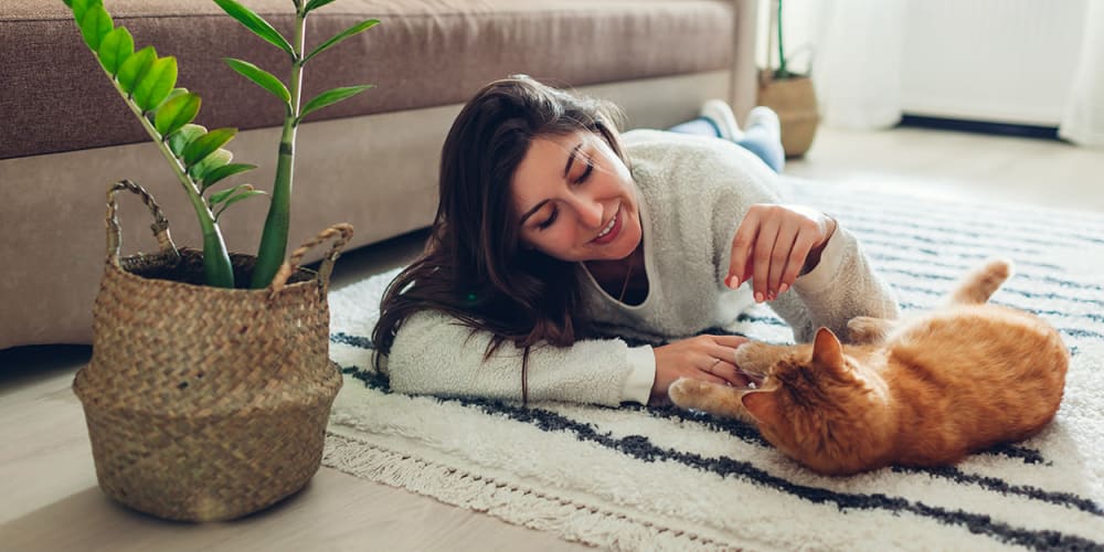 Resident playing with cat on the floor at Bon Aire Apartments in Castro Valley, California