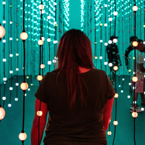 Portrait of a woman at Portrait At Hance Park in Phoenix, Arizona