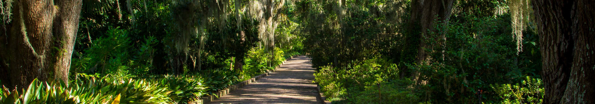 Simple Apartments Near Tinseltown Jacksonville Fl with Simple Decor