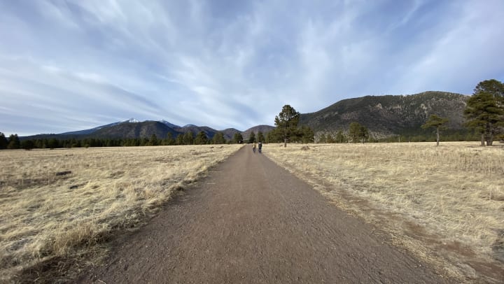 A dirt trail running through Buffalo park in Flagstaff, Arizona.