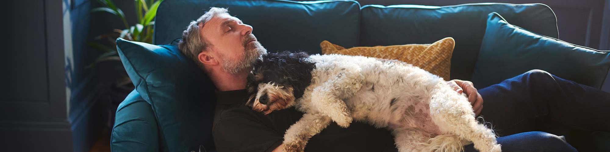 Pet Friendly | San Marco in Boca Raton, Florida