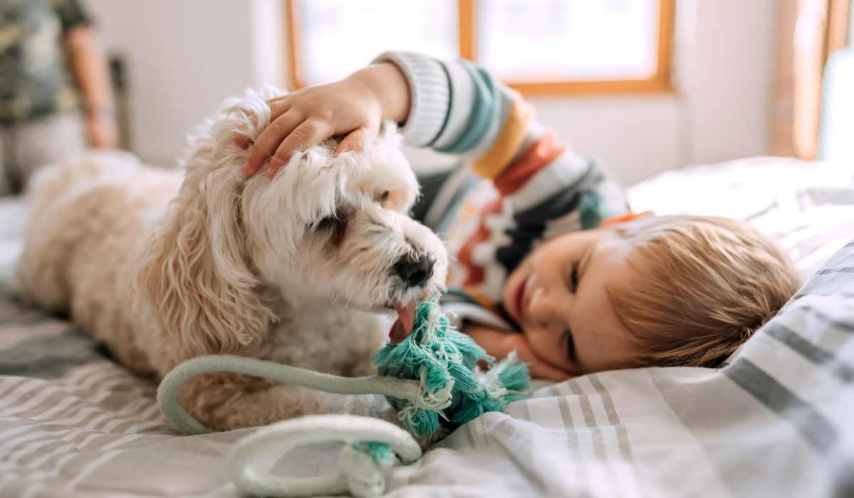 Child playing with dog on bed at Treehaven in Summerville, South Carolina 