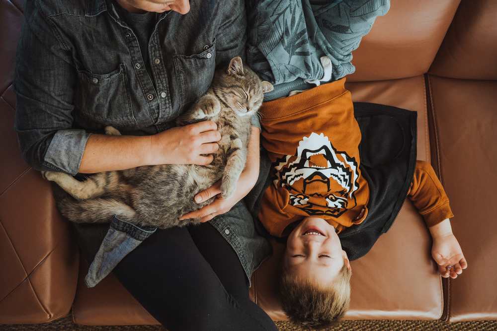 Cat sleeping in owners lap in model apartment at Gateway Apartments in San Leandro, California