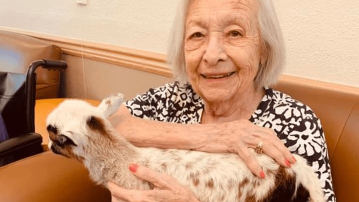 Animal-assisted therapy for individuals with dementia