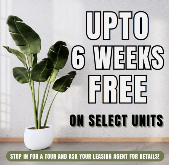 The Palm On SPID UPTO 6 WEEKS FREE! Limited Availability - Act Fast! **Discount applies after first full months rent.