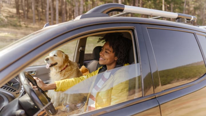 A smiling young woman drives her car along a country road, with her dog sitting on the passenger seat. 