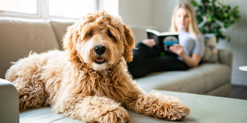 Resident and her dog in their home at Desert Meadows in Lancaster, California